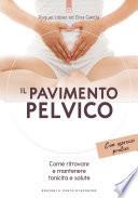 Il pavimento pelvico