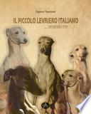 Il piccolo levriero italiano... secondo me