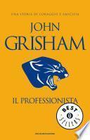 Il Professionista