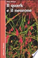 Il quark e il neurone