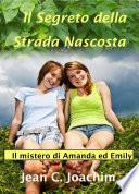 Il segreto della strada nascosta