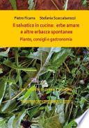 Il selvatico in cucina: erbe amare e altre erbacce spontanee. Piante, consigli e gastronomia.