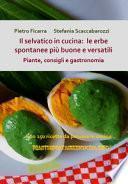 Il selvatico in cucina: le erbe spontanee più buone e versatili. Piante, consigli e gastronomia