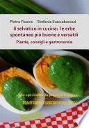 Il selvatico in cucina: le erbe spontanee più buone e versatili. Piante, consigli e gastronomia.