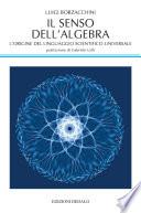 Il senso dell'algebra