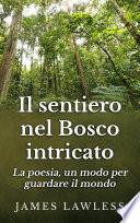 Il Sentiero Nel Bosco Intricato