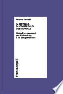 Il sistema di controllo gestionale. Metodi e strumenti per il check-up e la progettazione