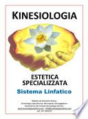 Il Sistema Linfatico con la Kinesiologia Estetica