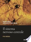 Il sistema nervoso centrale