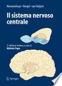 Il sistema nervoso centrale