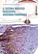 Il sistema nervoso vegetativo: anatomia funzionale