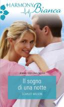 Il sogno di una notte