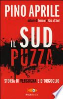 Il Sud puzza. Storia di vergogna e d'orgoglio