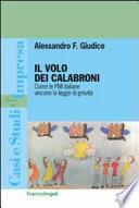 Il volo dei calabroni. Come le PMI italiane vincono la legge di gravità