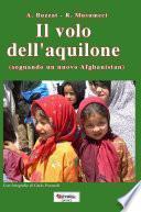 Il volo dell'aquilone