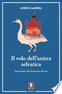 Il volo dell’anitra selvatica