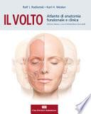 Il volto. Atlante di anatomia funzionale e clinica