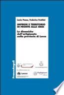 Imprese e territorio di fronte alla crisi. Le dinamiche dell’artigianato nella provincia di Lucca