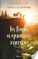 In fuga a quattro zampe