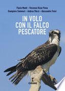 In volo con i falchi pescatori