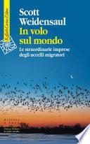 In volo sul mondo