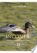 Incontri. A tu per tu con gli animali selvatici