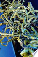 Incubi sintetici, deliri artificiali