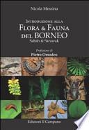 Introduzione alla flora & fauna del Borneo. Sabah & sarawak