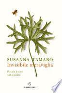Invisibile meraviglia