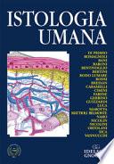 Istologia umana