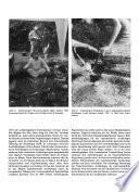 Journal of Swiss archaeology and art history