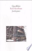 Junkspace. Per un ripensamento radicale dello spazio urbano