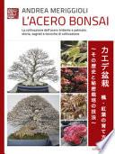 L'acero bonsai. La coltivazione dell'acero tridente e palmato: storia, segreti e tecniche di coltivazione