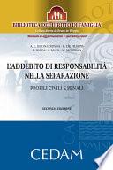 L'addebito di responsabilità nella separazione. Seconda edizione