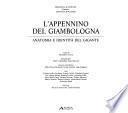 L'Appennino del Giambologna