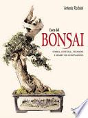 L'arte del bonsai