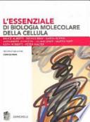 L'essenziale di biologia molecolare della cellula. Con CD-ROM