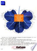 L'Europeo