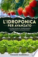 L'idroponica per avanzato