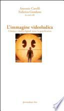 L'immagine videoludica. Cinema e media digitale verso la gamification