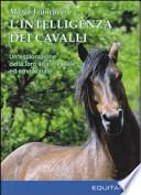 L'intelligenza dei cavalli