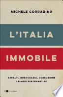 L'Italia immobile