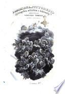 L'omnibus pittoresco enciclopedia letteraria ed artistica con figure incise in rame