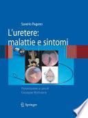 L'uretere: malattie e sintomi