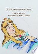 La bella addormentata nel bosco