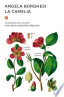 La camelia