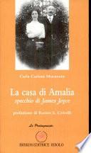La casa di Amalia. Specchio di James Joyce