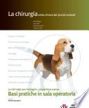 La chirurgia nella clinica dei piccoli animali
