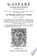La chirurgia plastica per innesto