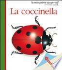 La coccinella